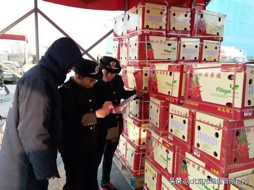 丰台区开展节前食品安全专项检查, 年货新宠 成检查重点
