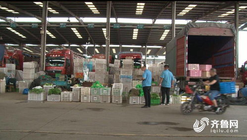 今日聚焦 山东匡山农产品综合交易市场 严格 双证 查验 不合格农产品将就地销毁
