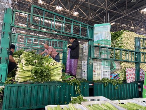 菜价波动后逐渐回落,如何拎稳 菜篮子