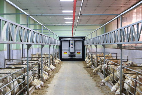 农业“双强”行动结硕果，浙江农业生产更高效，集装箱租赁助力产业升级