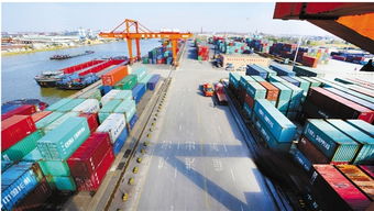 浙江日报 集装箱购销市场分析与未来展望